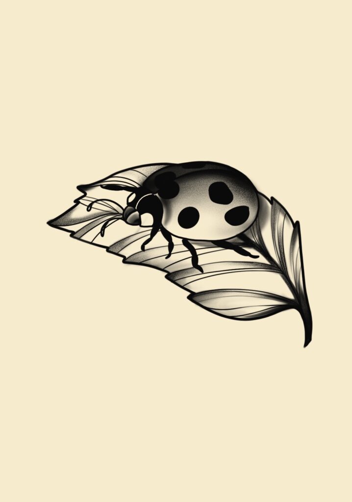 Illustrative fineline black and white flash tattoo lady bug on a leaf created by tattoo artist in Manchester, CT and Tolland County Connecticut.