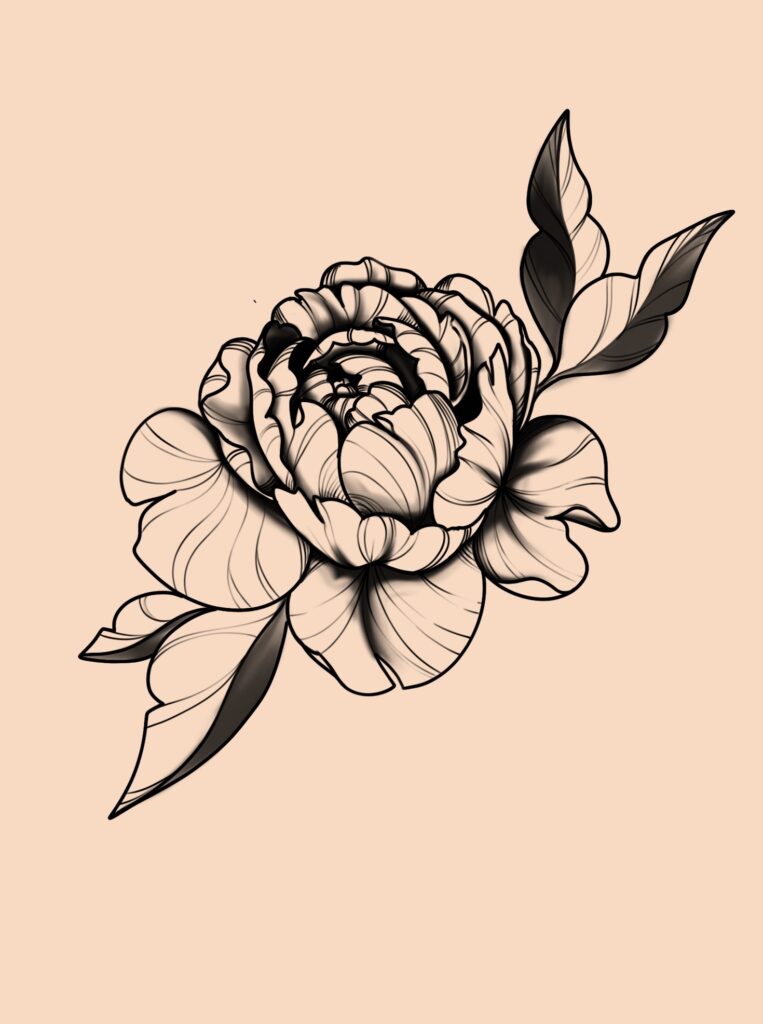 Illustrative fineline black and white peony flash tattoo created by tattoo artist in Manchester, CT and Tolland County Connecticut.